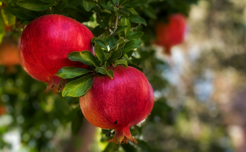 Boost Your Heart Health with Pomegranate