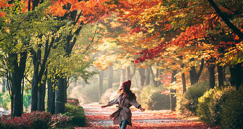 Fall colors in Autumn for motivation and health