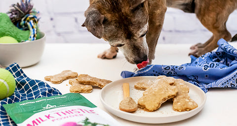 Milk Thistle Dog Treats