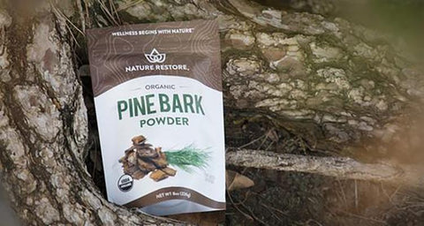 Health Benefits Of Pine Bark Extract Supplement