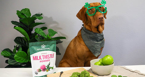 St Patrick's Dog Treats made with Nature Restore Organic Milk Thistle Powder