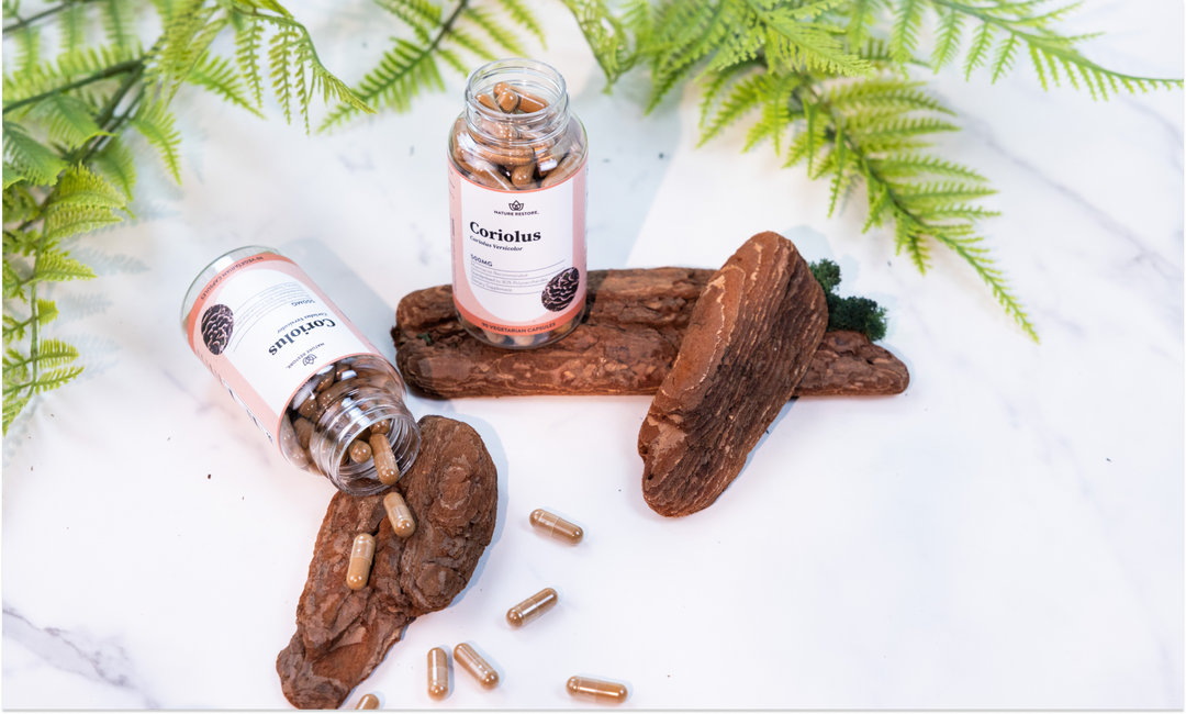 Coriolus Mushroom Supplement | Immunity Mushroom | Antioxidants ...