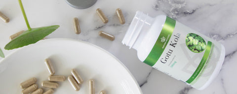 Nature Restore Gotu Kola 500mg supplement