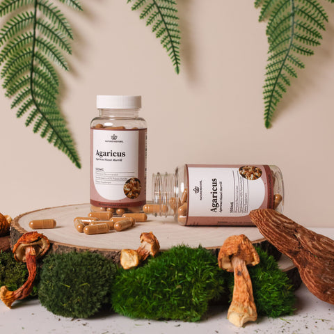 Agaricus Blazei Murill Extract Mushroom Supplement